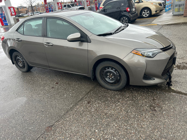 2019 Toyota Corolla LE in Cars & Trucks in Mississauga / Peel Region - Image 2