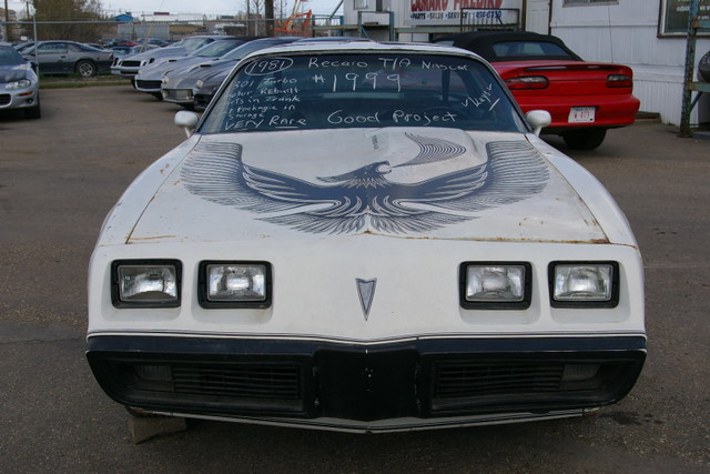 1981 Trans Am Recaro Special Edition NASCAR Turbo 301 T-Top in Cars & Trucks in Edmonton - Image 2