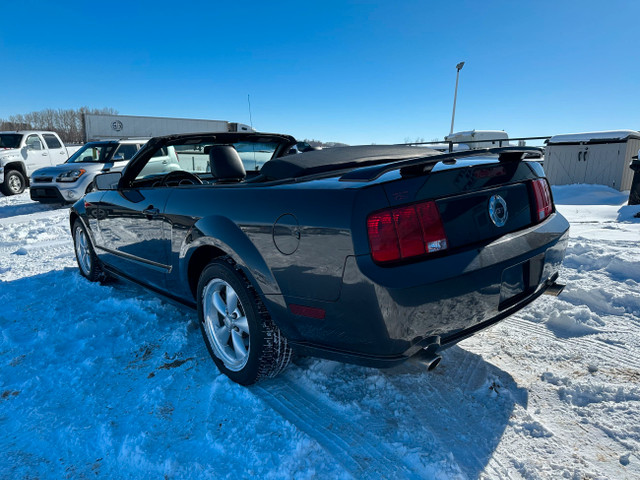 2007 Ford Mustang GT - CONVERTIBLE - SPRING IS HERE!! in Cars & Trucks in Red Deer - Image 3