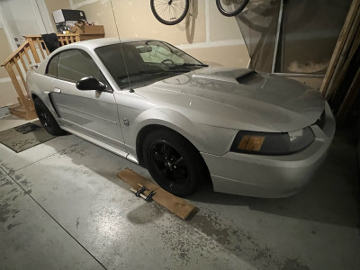 2004 Ford Mustang GT GT