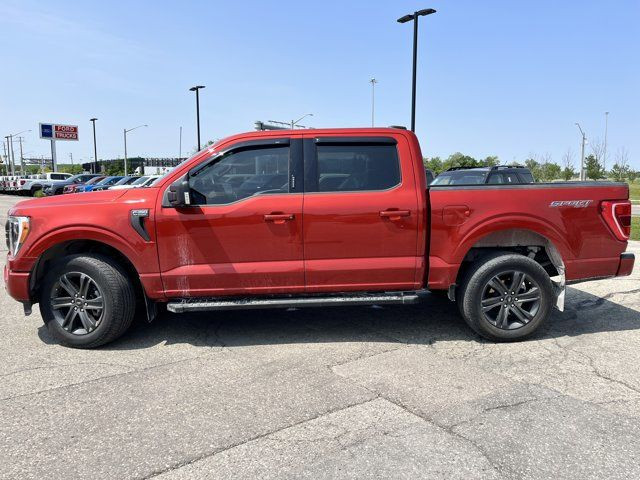 2023 Ford F-150 XL in Cars & Trucks in Kitchener / Waterloo - Image 4