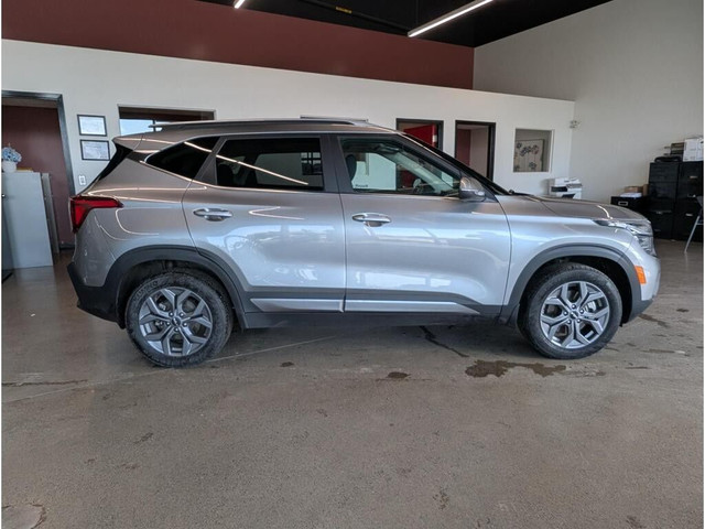 2025 Kia Seltos in Cars & Trucks in Thunder Bay - Image 2