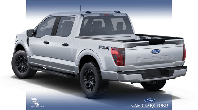 2025 Ford F-150 STX in Cars & Trucks in Red Deer - Image 2