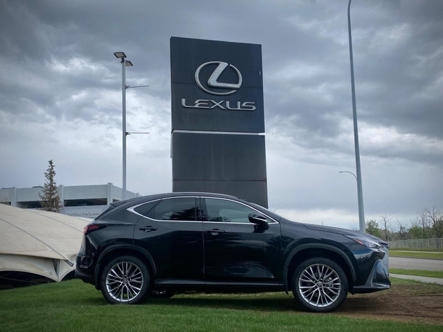 2022 Lexus NX 350 in Cars & Trucks in Calgary - Image 2