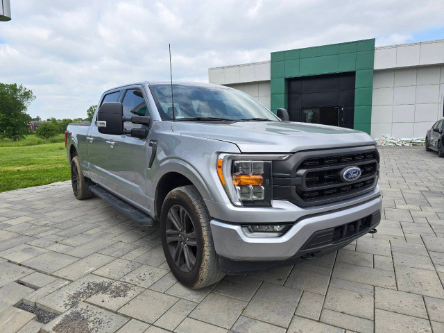2022 Ford F-150 in Cars & Trucks in Ottawa - Image 3