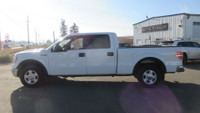 2014 FORD F-150 XL CREW CAB PICKUP for sale NEW ARRIVAL... - 5.0L V8 CYL - 4X4 - GAS - Transmission... (image 8)