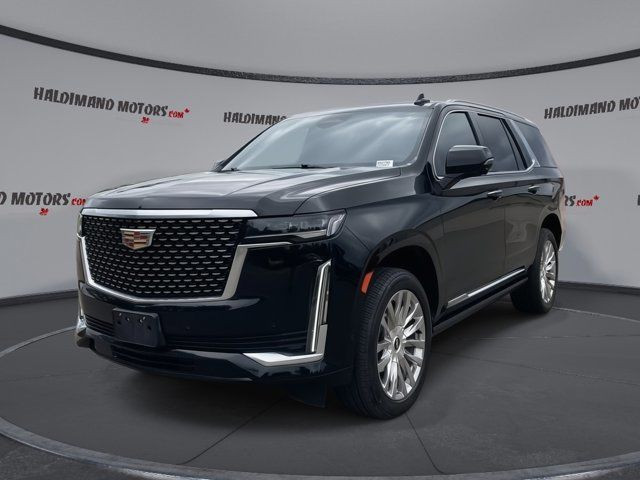 2022 Cadillac Escalade Premium Luxury in Cars & Trucks in Hamilton