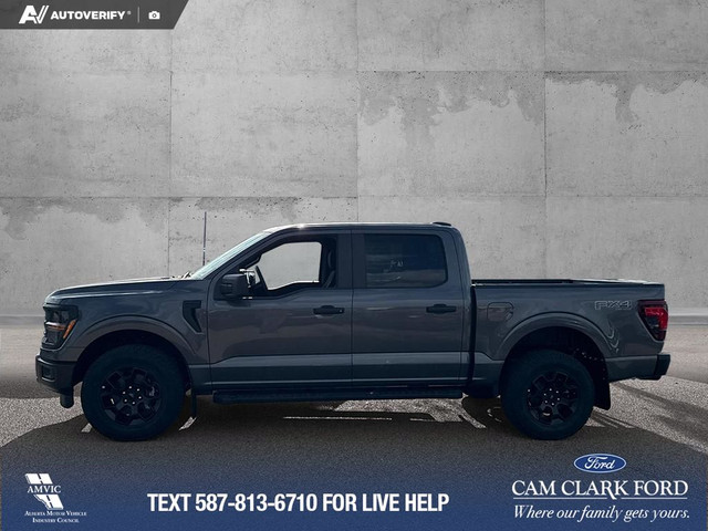 2025 Ford F-150 STX in Cars & Trucks in Red Deer - Image 4