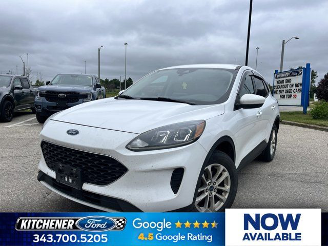 2020 Ford Escape SE in Cars & Trucks in Kitchener / Waterloo