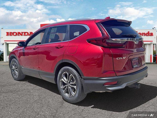 2020 Honda CR-V EX-L | AWD | ACCIDENT FREE | LEATHER | SUNROOF in Cars & Trucks in Kitchener / Waterloo - Image 4