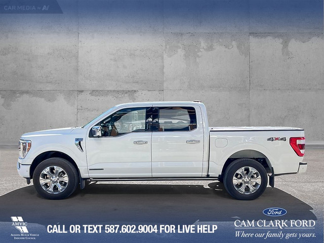 2023 Ford F-150 Platinum LEATHER* MOONROOF* CARPLAY* NAVI in Cars & Trucks in Banff / Canmore - Image 3