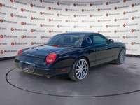Thanks for viewing our House Of Cars McKnight inventory! AMVIC licensed dealer! Unleash your inner c... (image 6)