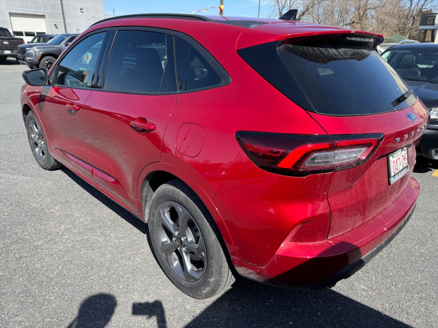 2024 Ford Escape ST LINE in Cars & Trucks in Cornwall - Image 4