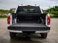 ENGINE: 3.5L V6 ECOBOOST -inc: auto start/stop technology system 3.31 Axle Ratio GVWR: 3 198 kg (7 0... (image 6)