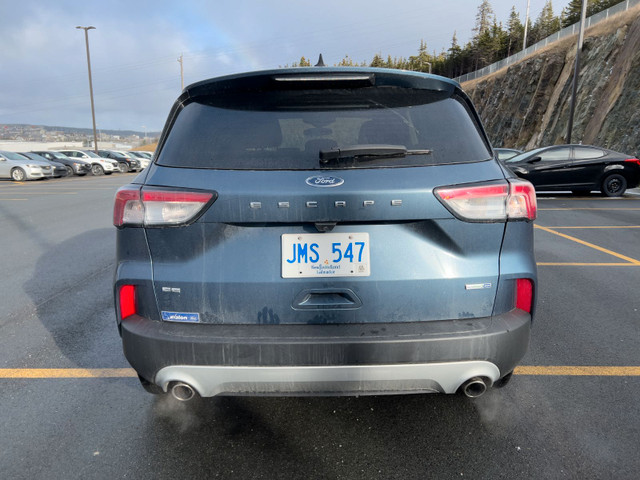 2020 Ford Escape SE in Cars & Trucks in St. John's - Image 4