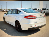Every pre-owned vehicle from Big M Ford Lincoln comes with a full inspection, a free car proof vehic... (image 2)