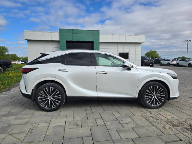 2023 Lexus RX in Cars & Trucks in Ottawa - Image 4