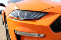 Every pre-owned vehicle from Big M Ford Lincoln comes with a full inspection, a free car proof vehic... (image 9)