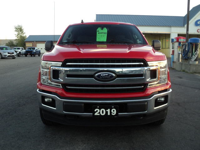 2019 Ford F-150 XLT SuperCrew 4WD 3.3L6cyl 5.5' Box BackUpCam in Cars & Trucks in Brantford - Image 3