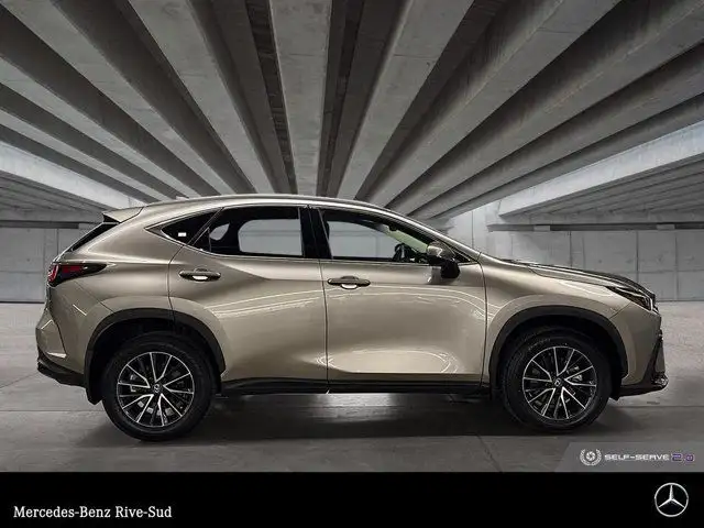 2024 Lexus NX 250 in Cars & Trucks in Longueuil / South Shore - Image 7