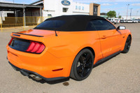 Every pre-owned vehicle from Big M Ford Lincoln comes with a full inspection, a free car proof vehic... (image 4)