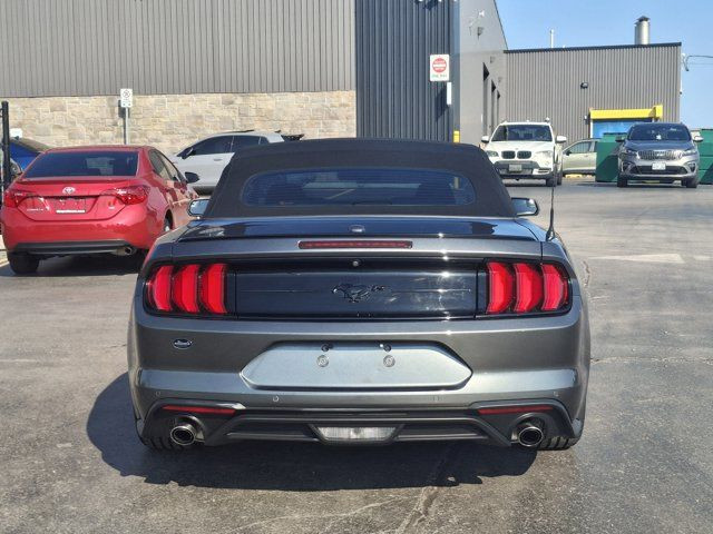 2018 Ford Mustang EcoBoost Premium Leather | Cooled + in Cars & Trucks in Guelph - Image 4