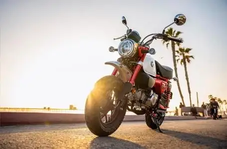 2025 Honda Monkey ABS in Street, Cruisers & Choppers in Nanaimo - Image 8