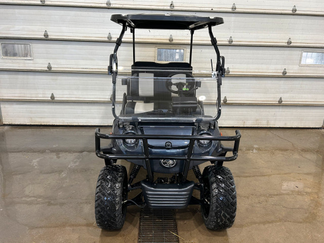 2024 HDK Forester 4 Plus Golf Cart in ATVs in Moose Jaw - Image 3