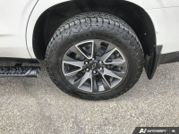 Assist Steps | Panoramic Sunroof | Rear Media & Navigation Package | Premium Smooth Ride Suspension... (image 6)