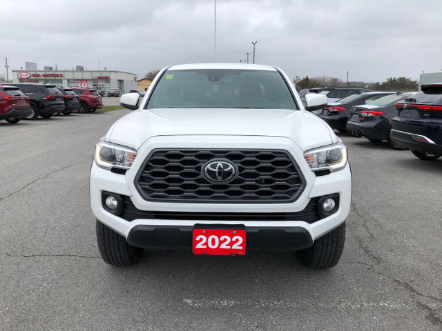 2022 Toyota TACOMA DBL CAB ONE OWNER, LOW KMS in Cars & Trucks in Belleville - Image 2
