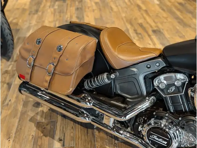 2017 Indian Motorcycle Scout // Thunder Black Smoke in Street, Cruisers & Choppers in Winnipeg - Image 12