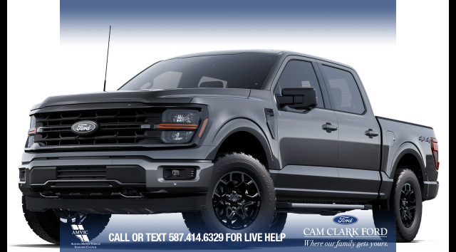 2025 Ford F-150 XLT in Cars & Trucks in Calgary