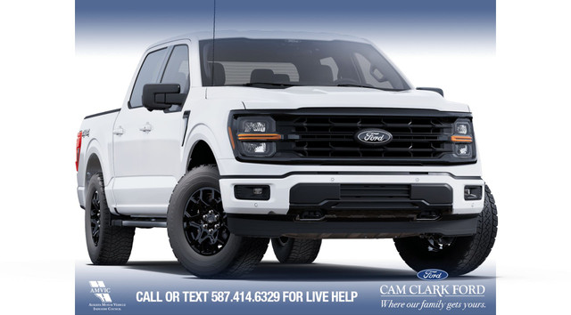 2025 Ford F-150 XLT in Cars & Trucks in Calgary - Image 4