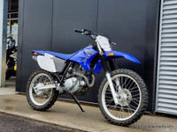  2021 Yamaha TT-R230