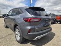 Employee Pricing on now! You pay what we pay on every New and Used Vehicle at Maclin Ford - Calgarys... (image 4)