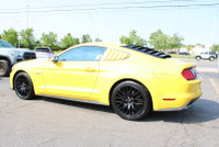 NO ACCIDENT Unleash the thrill of the open road with the 2015 Mustang GT 5.0L V8 Premium Coupe 6 Spe... (image 4)