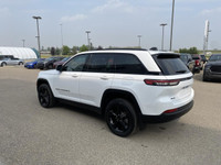Thanks for checking out our Mountain View Dodge inventory! DEMO DEMO Rear seat reminder, Front Heate... (image 6)
