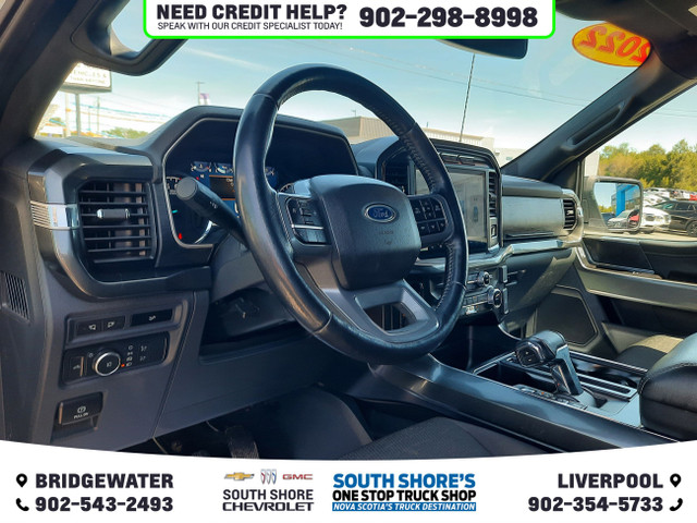 2022 Ford F-150 XLT in Cars & Trucks in Bridgewater - Image 2