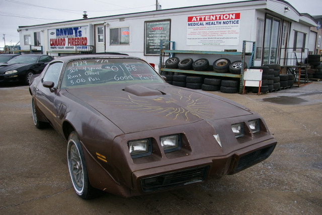 1979 Trans Am 301  4speed Hard-Top in Classic Cars in Edmonton