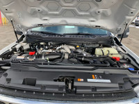 Super Duty F-350 SRW XLT 4WD Crew Cab 8' Box, 18" Aluminum Wheels, 6.7L V8 Turbo Diesel Engine, 10-S... (image 9)