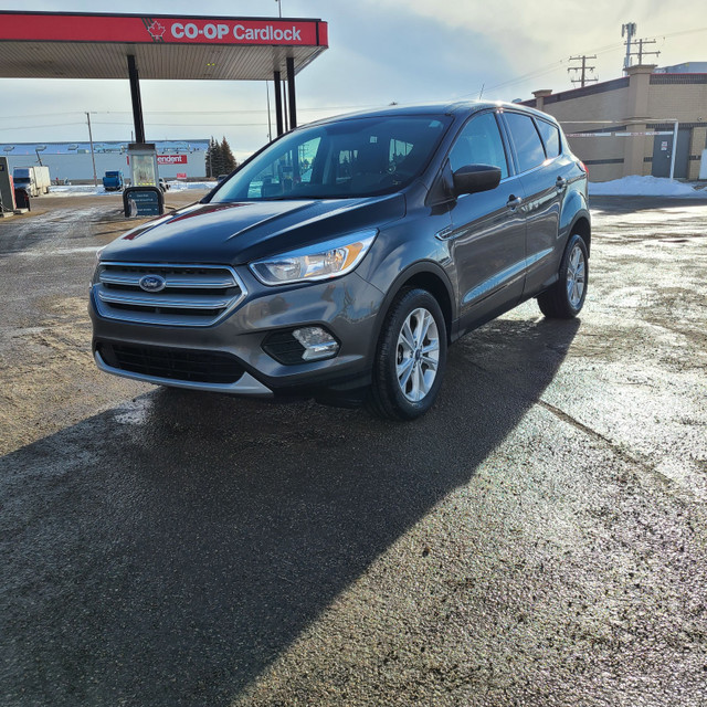 2019 Ford Escape in Cars & Trucks in Saskatoon - Image 2