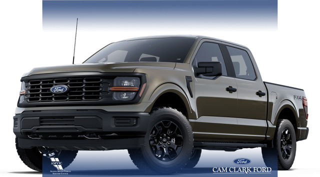 2025 Ford F-150 STX in Cars & Trucks in Red Deer