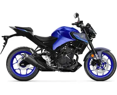 Engine Type: In-Line Displacement: 19.6 cu. in. (321 cc) Bore and Stroke: Bore: 2.68 in. (68 mm); St...