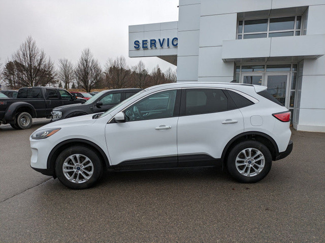 2020 Ford Escape SE 4WD - SYNC3/Nav/Tech Features and more!!!! in Cars & Trucks in Kawartha Lakes - Image 2