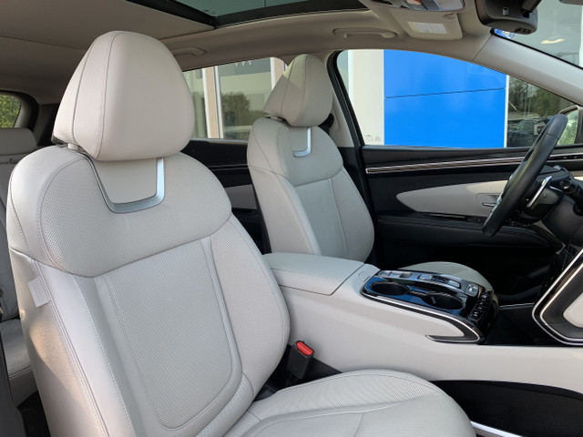 2022 Hyundai Tucson Hybrid Ultimate in Cars & Trucks in Brandon - Image 2