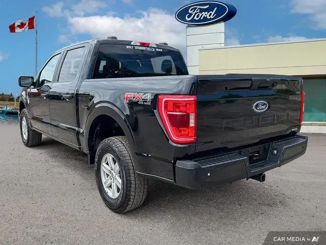 2022 Ford F-150 XLT dans Autos et camions dans Kitchener / Waterloo - Image 6