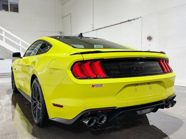 2021 Ford Mustang GT | One Owner | Manual | MBRP Exhaust in Cars & Trucks in Grande Prairie - Image 4
