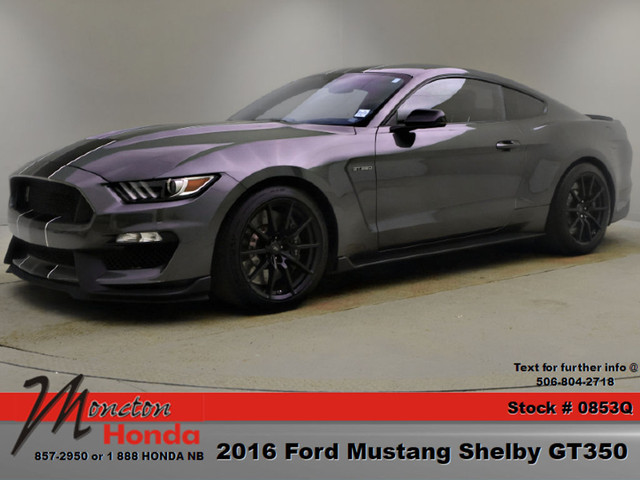 2016 Ford Mustang Shelby GT350 in Cars & Trucks in Moncton - Image 2