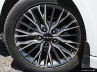 WAS: $31619 NOW: $30597 plus taxes and licensing feesExperience the Thrill of the Road with the 2024... (image 5)