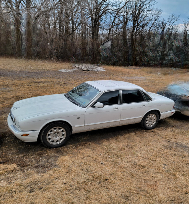 1998 Jaguar XJ8 in Cars & Trucks in Winnipeg